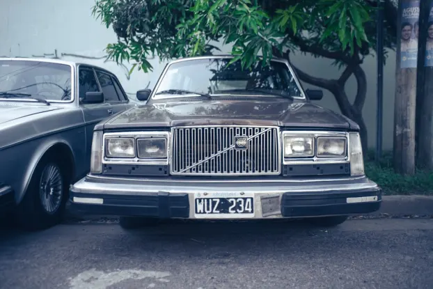 BetXLarge Casino Application Android/iOS